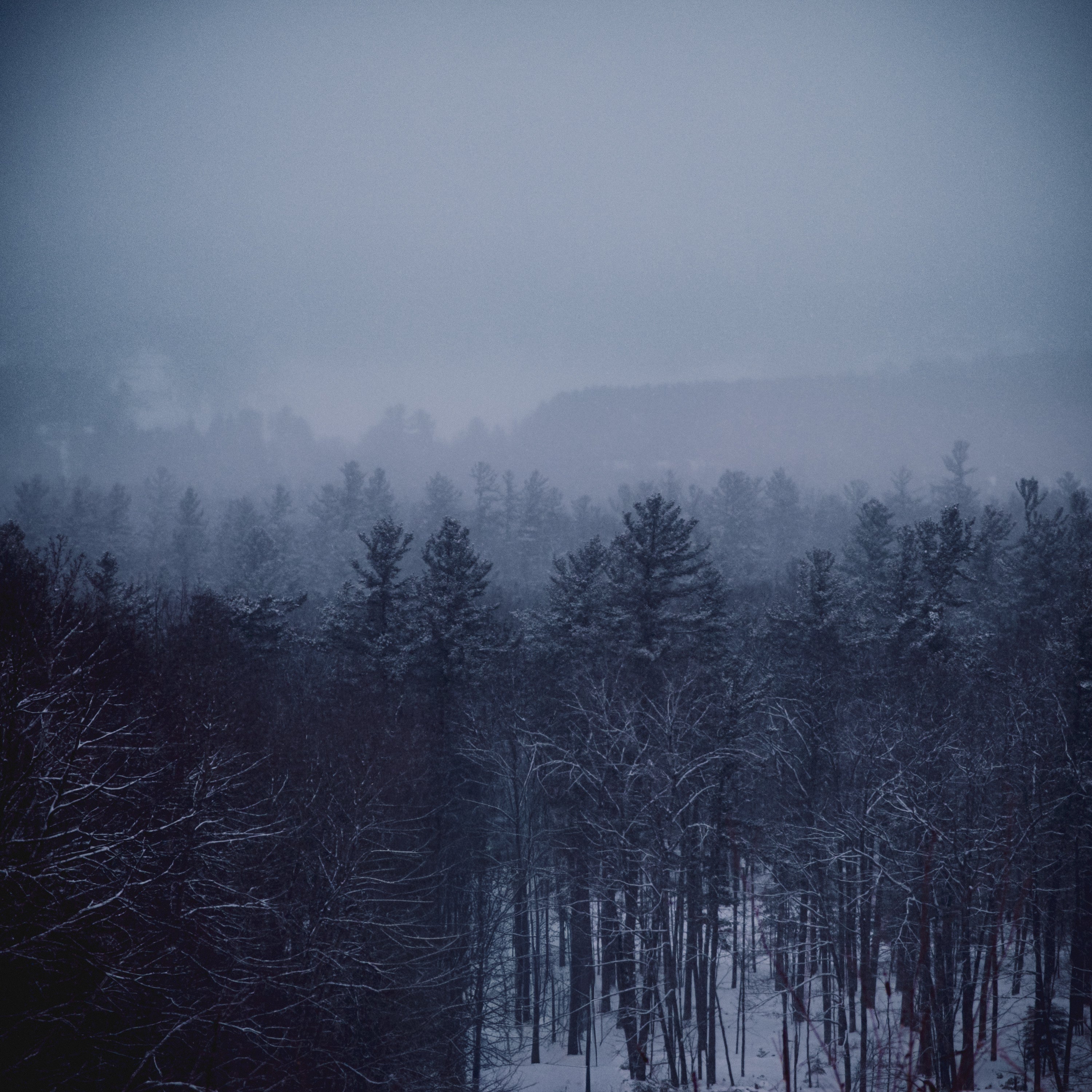Northern Whiteout Digital Download